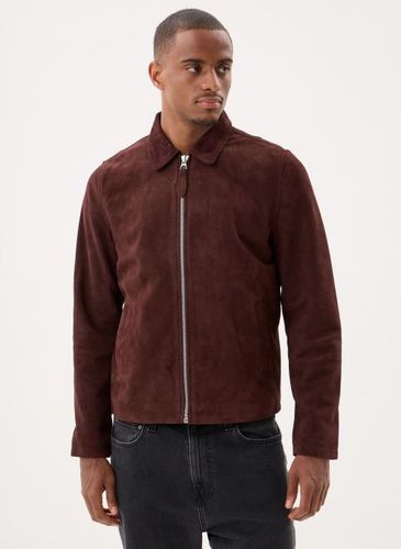 Vêtements Blouson Suede-LCCLASSICS - Schott - Modalova