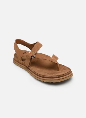 Sandales et nu-pieds W Goldengaze Toe Post - UGG - Modalova