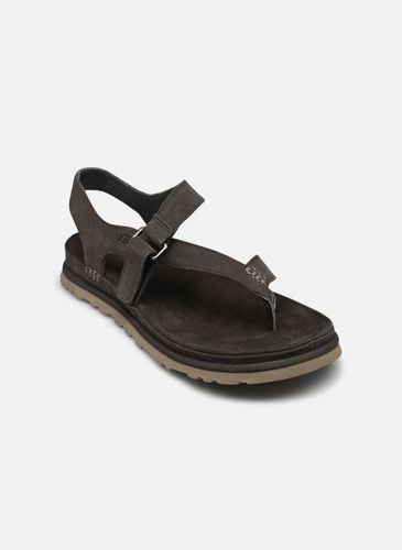 Sandales et nu-pieds W Goldengaze Toe Post - UGG - Modalova