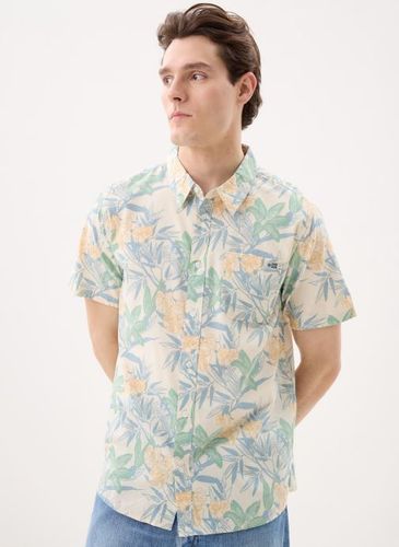 Vêtements Crew Ss Button Up Shirt - Salty Crew - Modalova