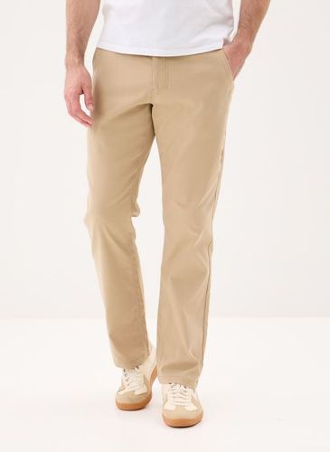 Vêtements Transom Tech Pants - Salty Crew - Modalova