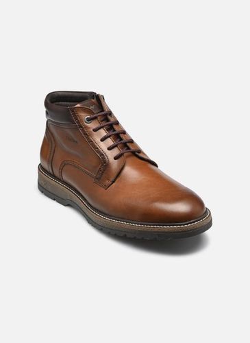 Bottines et boots BUGGY F2321 - Fluchos - Modalova