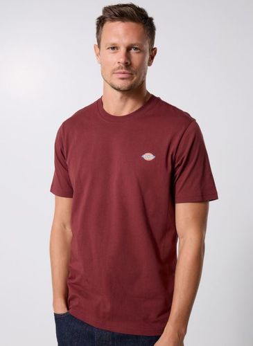 Vêtements Ss Mapleton Tee - Dickies - Modalova