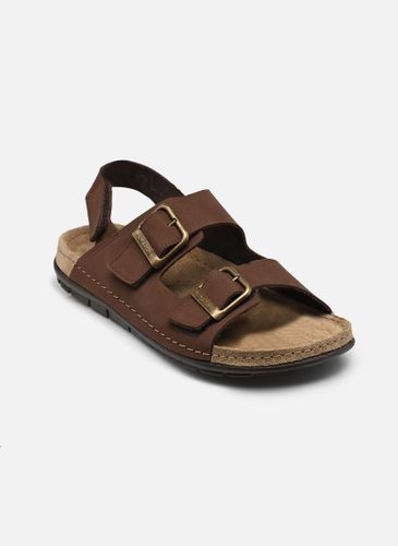 Aberdeen Man Sandal Comfort pour - Scholl - Modalova