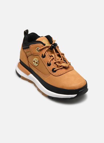 Field Trekker low SNEAKER pour - Timberland - Modalova