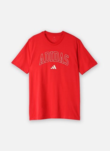 M COLLEGIATE T pour - adidas sportswear - Modalova