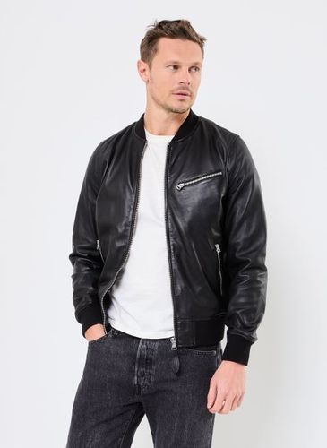 Vêtements Bomber Avec Zip Perfecto pour Accessoires - Schott - Modalova