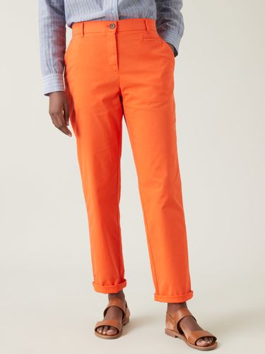 Chino coton stretch femme - Cyrillus - Modalova