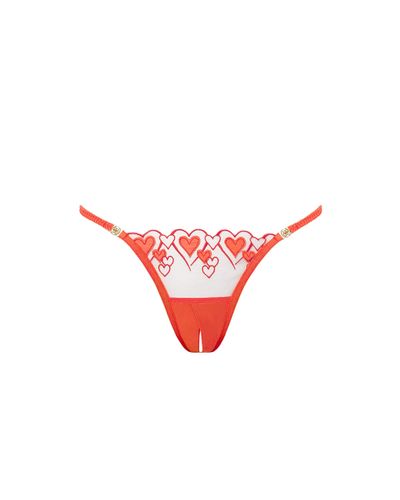 Bluebella Culotte Ouverte Harlow Corail/Transparent - Bluebella - FR - Modalova