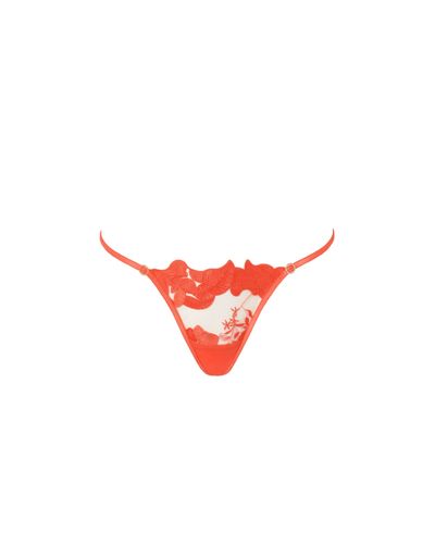 Bluebella String Serenity Corail chaud/Transparent - Bluebella - FR - Modalova