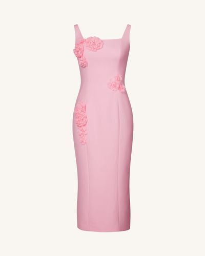 Robe fourreau Garden Grace – Rose - JW PEI - Modalova