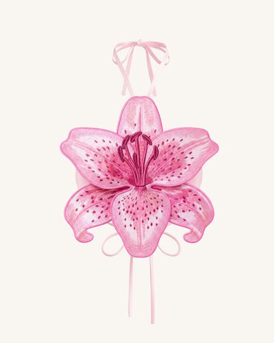 Crop top dos nu Lily 3D - Rose - JW PEI - Modalova