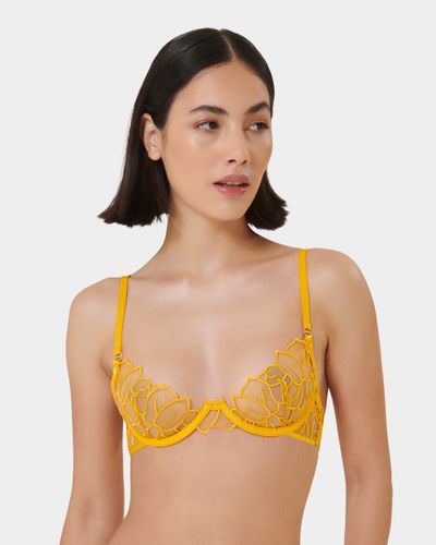 Laurel Leaf Embroidered Bra Gold - Gold / 30B - Bluebella - US - Modalova