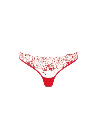 Bluebella Rosalie Panties /Sheer - S - Bluebella - US - Modalova