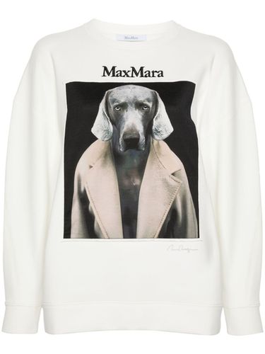 Printed Cotton Sweatshirt - Max Mara - Modalova