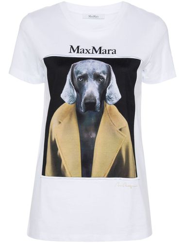 MAX MARA - Printed Cotton T-shirt - Max Mara - Modalova