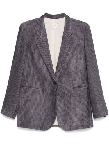 Velvet Single-breasted Jacket - Alysi - Modalova