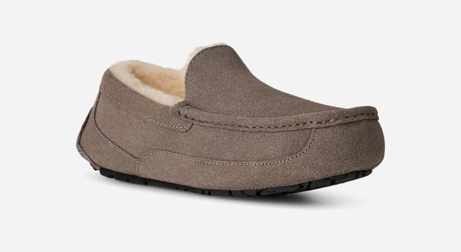 Chausson Ascot | UE in , Taille 46, Daim - Ugg - Modalova