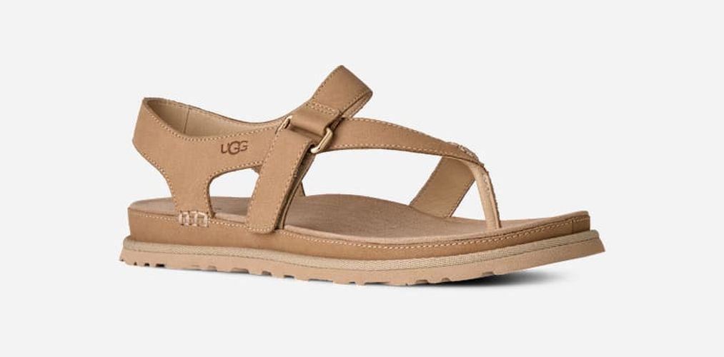 Sandale GoldenGaze Toe Post in Brown, Taille 36, Cuir - Ugg - Modalova