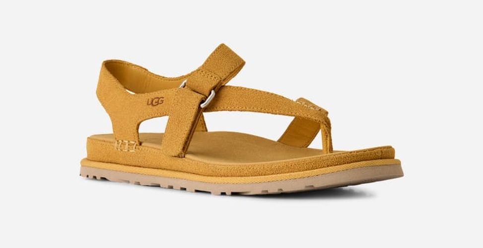 Sandale GoldenGaze Toe Post in , Taille 36, Daim - Ugg - Modalova