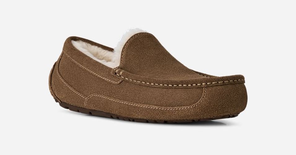 Ascot | UE in Brown, Taille 44, Daim - Ugg - Modalova