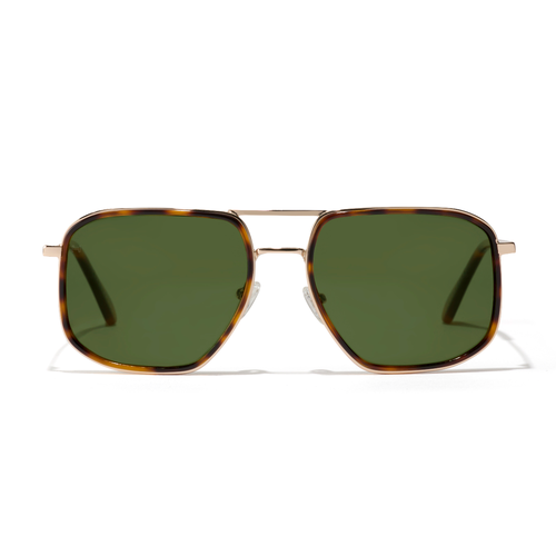 Nos Lunettes de Soleil Candem - Polarized Alligator - HAWKERS - Modalova