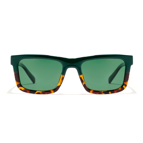 Nos Lunettes de Soleil Terra - Polarized Alligator - HAWKERS - Modalova