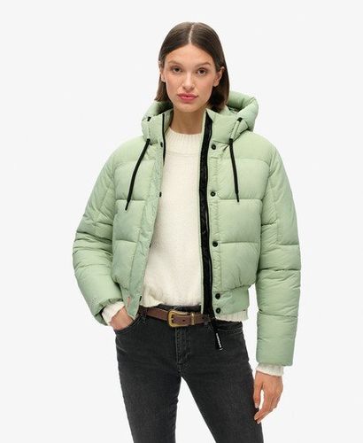 Damen Wattierte Ripstop Bomberjacke - Größe: 42 - Superdry - Modalova