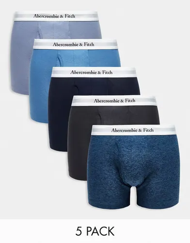Lot de 5 boxers à taille blanche contrastante - Bleu/gris/bleu marine - Abercrombie & Fitch - Modalova