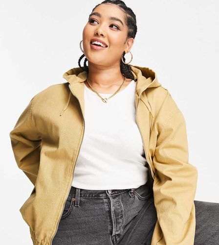 ASOS DESIGN Curve - Bomber oversize en toile - Taupe - Asos Curve - Modalova