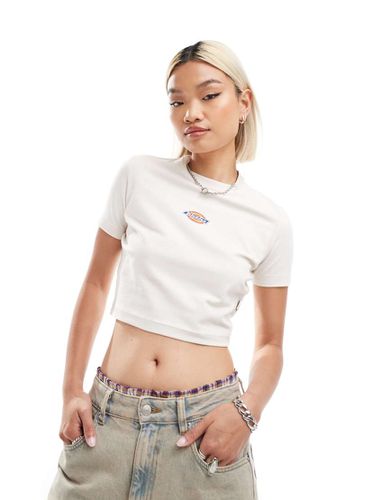 Maple Valley - T-shirt crop top - cassé - Dickies - Modalova