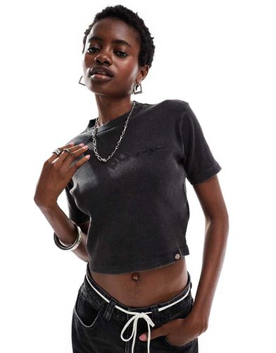 Newington - T-shirt crop top à manches courtes - délavé - Dickies - Modalova