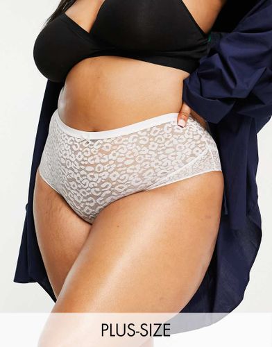 New Look Curve - Culotte brésilienne en dentelle à imprimé animal - New Look Plus - Modalova