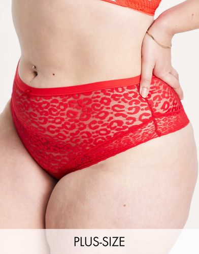 New Look Curve - Culotte brésilienne en dentelle motif animal - New Look Plus - Modalova