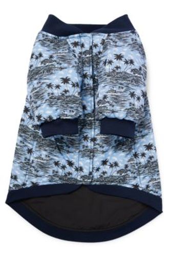 Bomber pour chien - Boss - Modalova