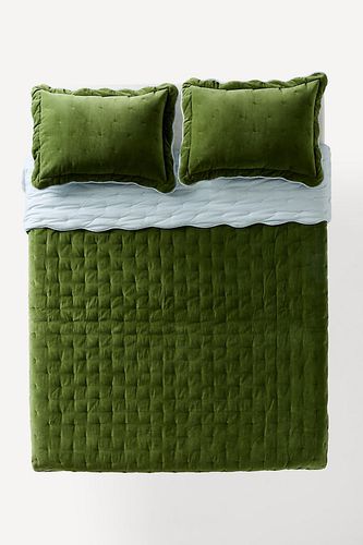 Couvre-lit festonné en velours de coton uni Abbott en Green chez - Anthropologie - Modalova
