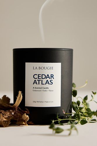 Bougie Cedar Atlas en chez Anthropologie - La Bougie - Modalova