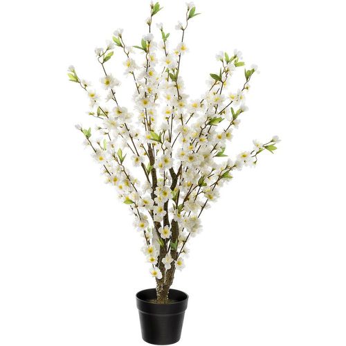 Cerisier H. 100 cm blanc - 3S. x Home - Modalova