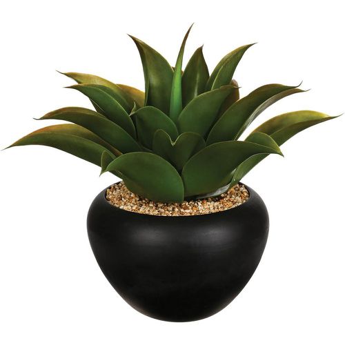 Aloe vera en pot céramique H37 - 3S. x Home - Modalova