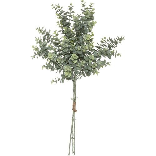 Bouquet Eucalyptus H 64 - 3S. x Home - Modalova