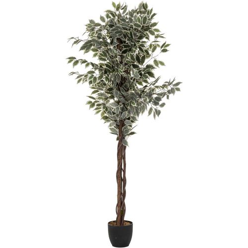 Ficus artificiel H180 vert - 3S. x Home - Modalova