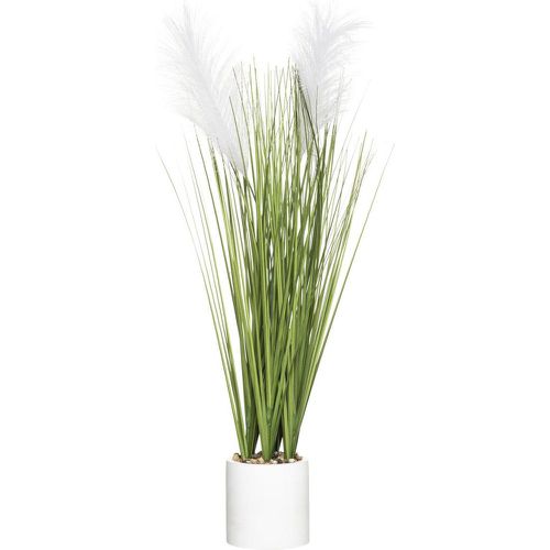 Plante Plumeau Pot H 70 Blanc - 3S. x Home - Modalova