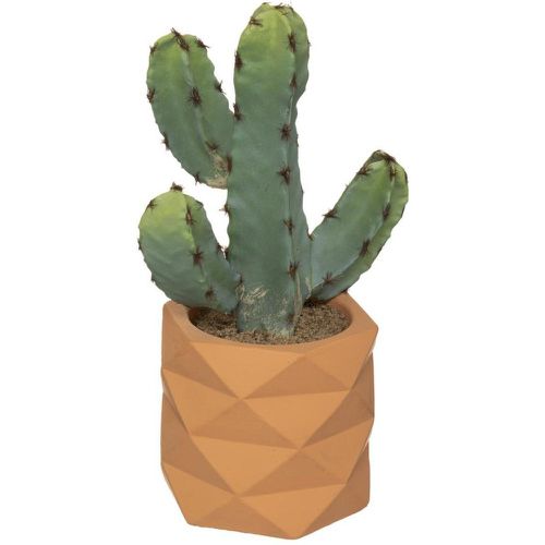 Cactus Pot Céramique Effet Terra H 24 - 3S. x Home - Modalova