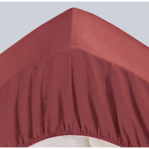 Drap-housse Grand Bonnet en Jersey de coton sienne - Becquet - Modalova