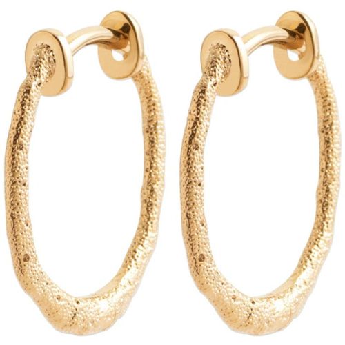 Boucles d'oreilles créoles 20mm plaqué or Y6350Y0 - Maison de la Bijouterie - Modalova