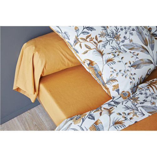 Drap Plat YOUYOU Marron - Becquet - Modalova