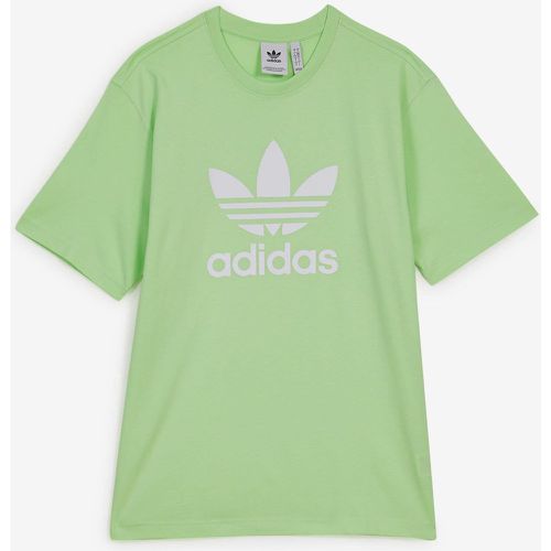 Tee Shirt Trefoil Adicolor Vert - adidas Originals - Modalova