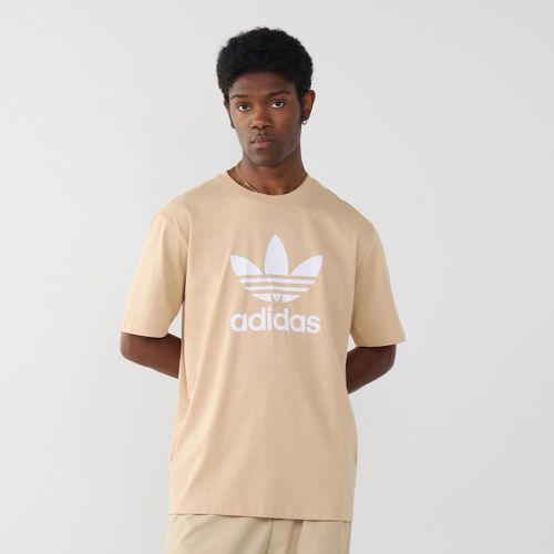 Tee Shirt Trefoil Adicolor / - adidas Originals - Modalova