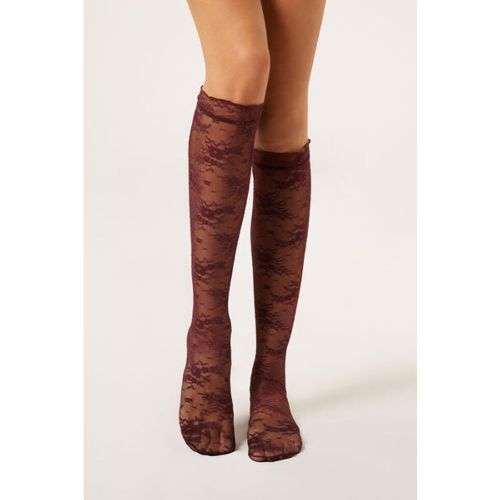 Chaussettes Hautes en Dentelle Taille TAILLE UNIQUE - Calzedonia - Modalova