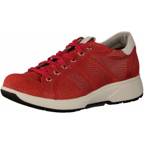 Xsensible Tennis confort 36 - Xsensible - Modalova